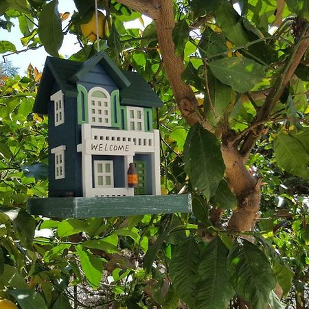 Casa Vacanze Darena Tortoreto Екстериор снимка