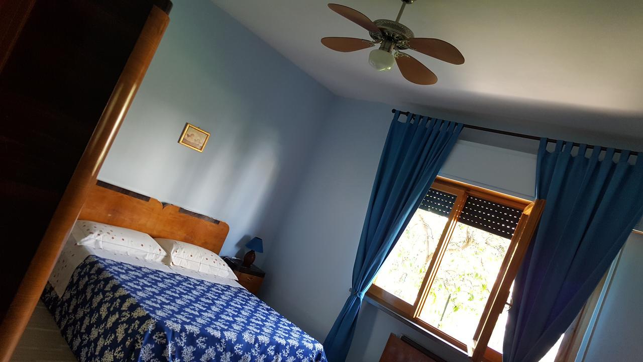 Casa Vacanze Darena Tortoreto Екстериор снимка